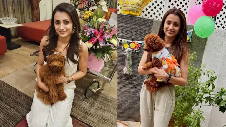 Inside Trisha Krishnan’s Rs 10 Crore Chennai Home With Wooden Floors And A Walk-In Closet